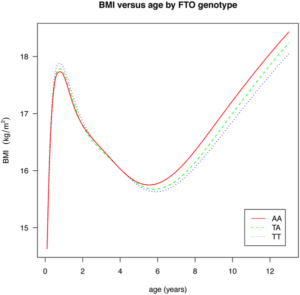 BMI versus age by FTO genotype