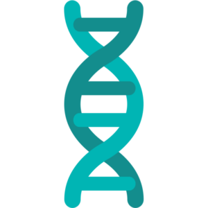 An illustration showing a double helix strand of DNA