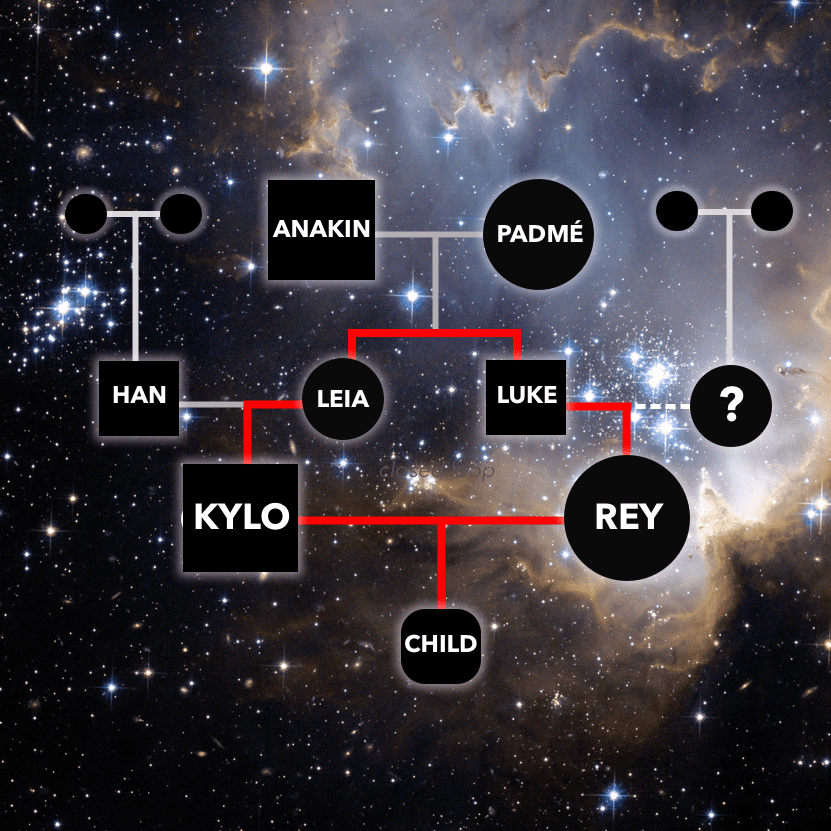 An illustration showing Kylo's and Rey's intersecting family tree