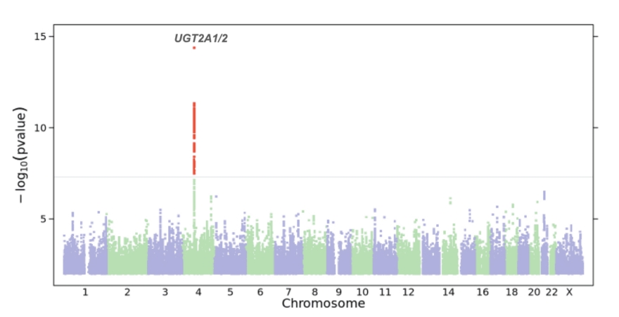 A Manhattan plot showing a strong association in the genes UGT2a1/2